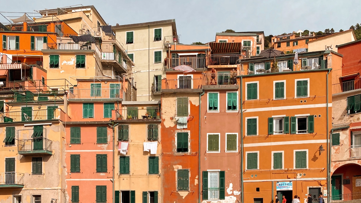 Scenic photography background